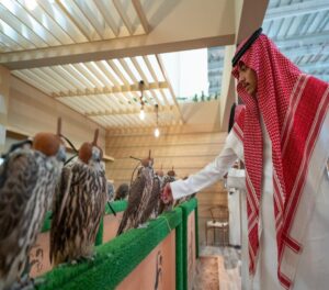 طلال بن عبد العزيز الشميسي - الرئيس التنفيذي لنادي الصقور السعودي