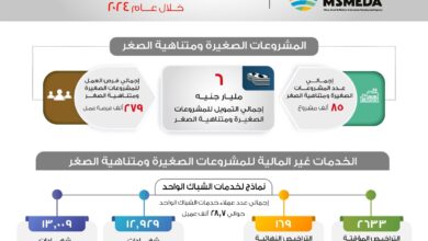 رحمي.. ضخ 6 مليار جنيه لتمويل قطاع المشروعات المتوسطة والصغيرة ومتناهية الصغر خلال 2024