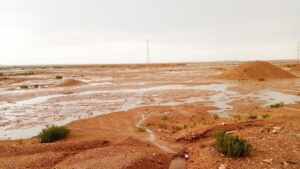 سيول