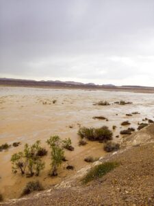 سيول3