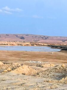سيول2