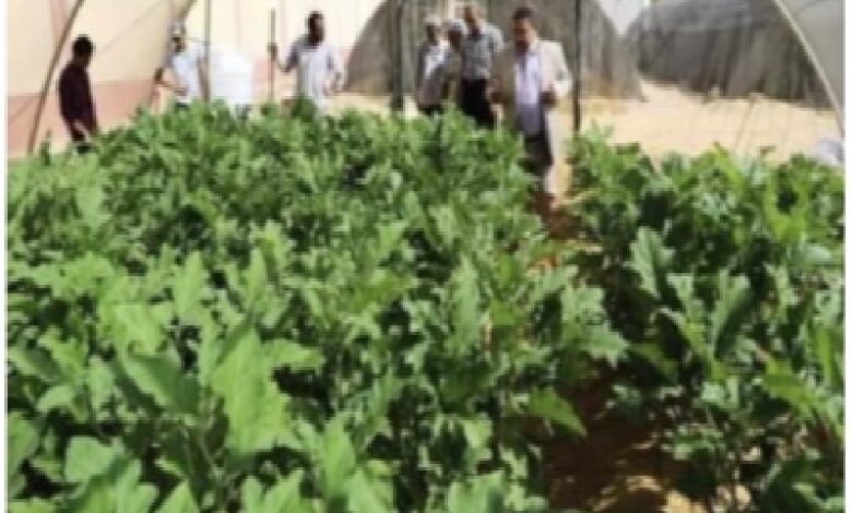 شروط شهادة الصلاحية للسلع الغذائية