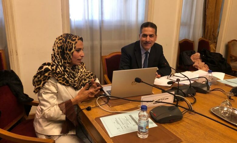 الكرداوي تشارك في ورشة عمل بجامعة الدول العربية