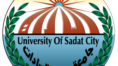 جامعة مدينة السادات