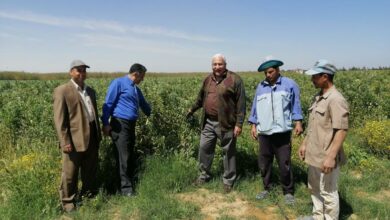 رئيس جامعة مدينة السادات يتفقد مرزعة الجامعة