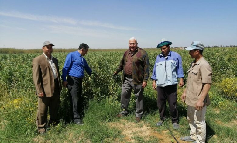 رئيس جامعة مدينة السادات يتفقد مرزعة الجامعة