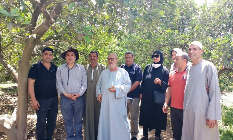 الزراعة» تقدم نصيحة للمزارعين لمواجهة التغيرات المناخية