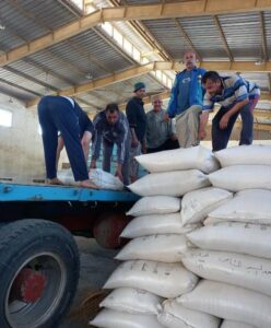 الزراعة في العيد معدات الزراعة الالية تواصل حصاد القمح في توشكى.