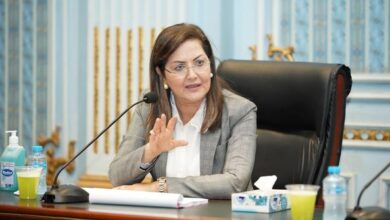 السعيد تناقش مشروع خطة التنمية المستدامة بمجلس الشيوخ