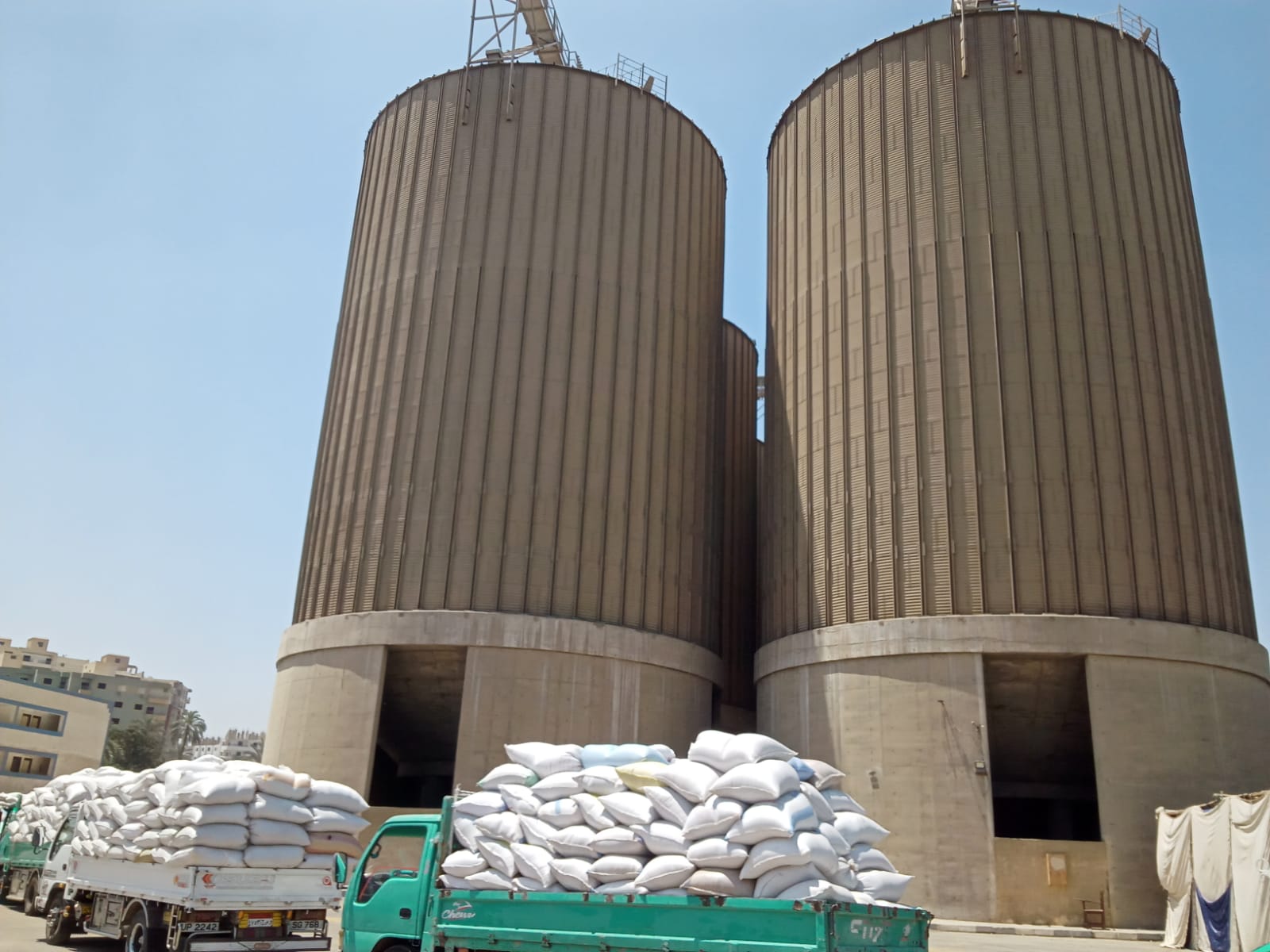 الرئيس التنفيذى لشركة مطاحن مصر الوسطى موسم القمح مبشر هذا العام وعمليات التوريد من المزراعين للمطاحن مستمرة على مدار 24ساعة دون انقطاع