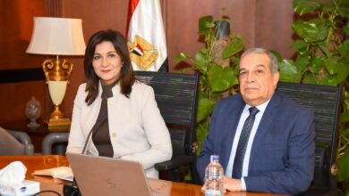 وزيرا الهجرة والإنتاج الحربي يعقدان اجتماعا مع الخبراء الأجانب المشاركين بمؤتمر "مصر تستطيع بالصناعة"