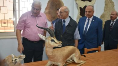 رئيس جامعة السادات يفتتح متحف كلية الطب البيطري بالجامعة1