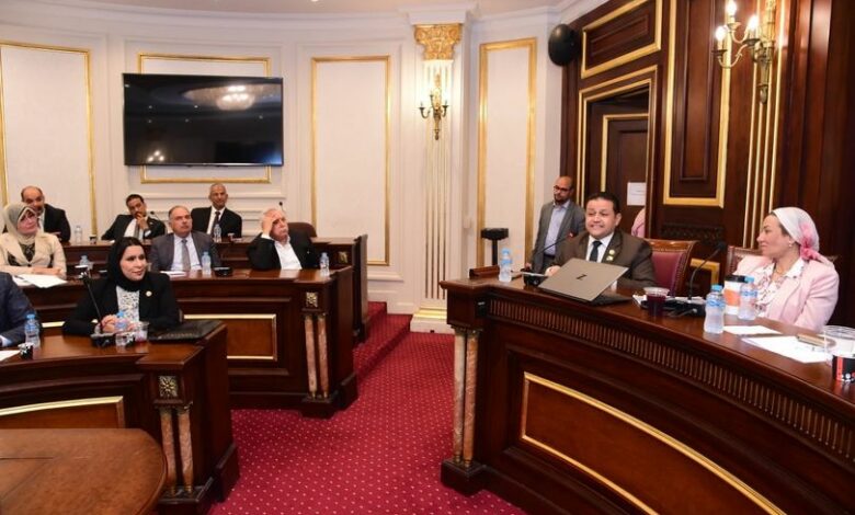 فؤاد تؤكد على سعي الحكومة لإصدار قانون لدعم الصناعة المصرية