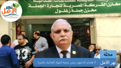 الزيادة التموينية المقررة 91 ومتابعة توجيهات رئيس الجمهورية .. رئيس شعبة المواد الغذائية بالجيزة