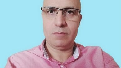 د. حمدي سيد محمود