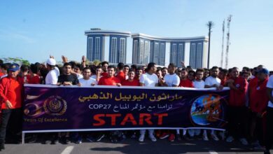 الأكاديمية العربية للعلوم والتكنولوجيا والنقل البحري