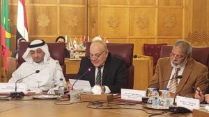 الوزير. د. عمرو عزت سلامة