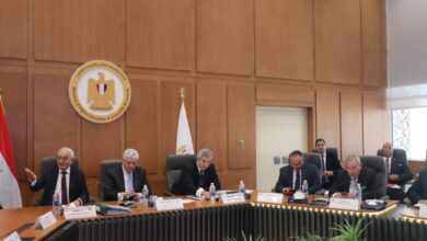 القائم بأعمال رئيس جامعة مدينة السادات تشارك باجتماع المجلس الأعلى للجامعات