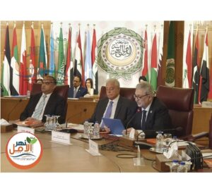 الأستاذ الدكتور أشرف عبد العزيز
