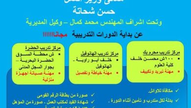 وزارة العمل: بدء دورات تدريبية مجانية على 3 مهن لشباب الأسكندرية
