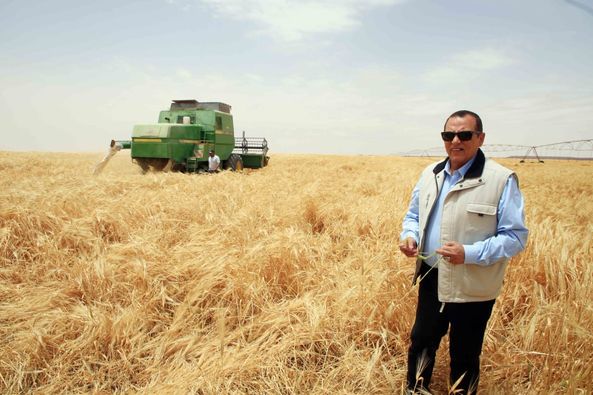 "الريف المصرى الجديد" تبدأ تسليم أسمدة مدعمة لصغار المزارعين الجادين من منتفعى مشروع الـ ١.٥ مليون فدان