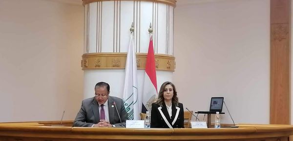 الكيلاني تجتمع مع مقرري لجان الأعلى للثقافة لمناقشة خطط اللجان للمرحلة القادمة