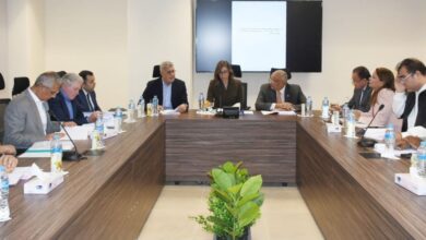 الكيلاني ترأس اجتماعي الجمعية العامة للشركة القابضة للاستثمار في المجالات الثقافية والسينمائية