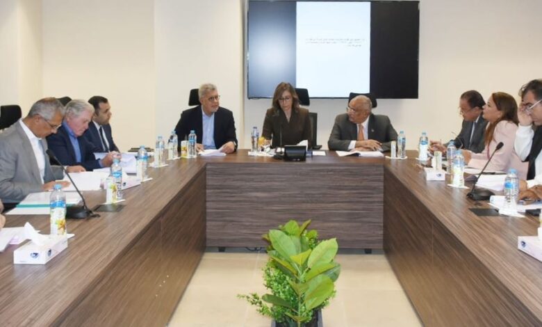 الكيلاني ترأس اجتماعي الجمعية العامة للشركة القابضة للاستثمار في المجالات الثقافية والسينمائية