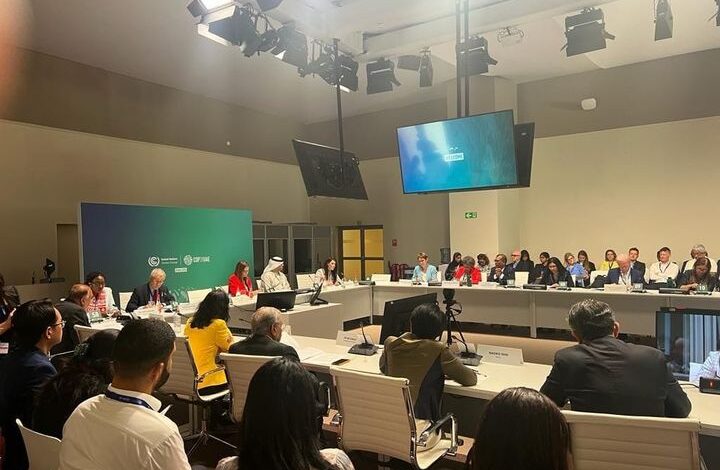 المشاط تُشارك في اجتماع مناقشة التقرير الثاني لفريق الخبراء المستقل حول إطار التمويل المناخي الجديد