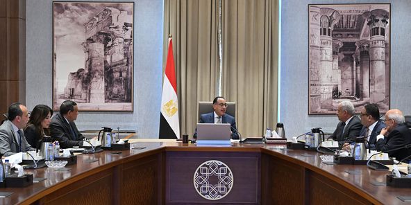 مدبولي يستعرض مشروعاً لإنتاج الأمونيا الخضراء باستثمارات تقترب من مليار دولار