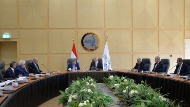 الوزير يبحث مع ربيع واتحاد الصناعات المصرية سبل تعظيم وتنمية وتوطين صناعة بناء وإصلاح السفن في مصر