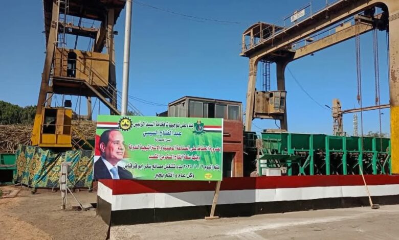 وزارة التموين والتجارة الداخلية بدء موسم توريد قصب السكر بمحافظة المنيا