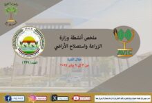 بالانفوجراف والفيديو| "الزراعة في أسبوع" نشرة الحصاد رقم ٢٢٩ لأنشطة الوزارة في الفترة من ٣ وحتى ٩ يناير الجاري