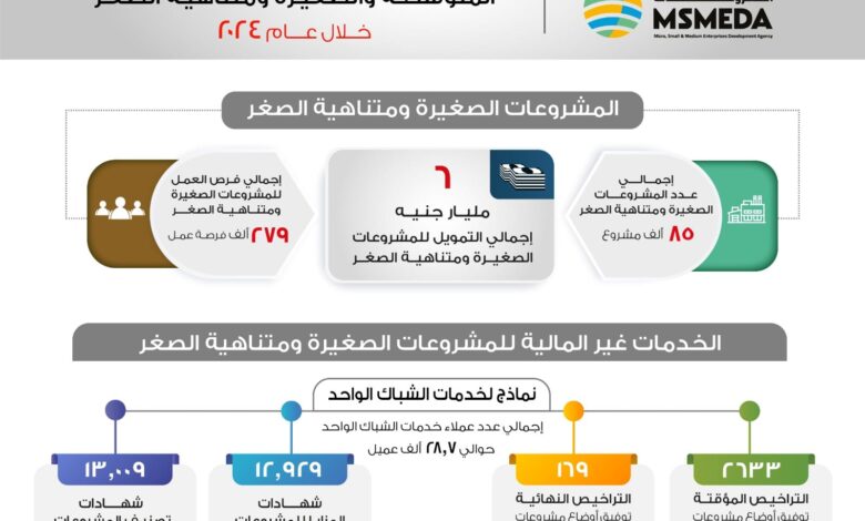 رحمي.. ضخ 6 مليار جنيه لتمويل قطاع المشروعات المتوسطة والصغيرة ومتناهية الصغر خلال 2024