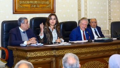 د. منال عوض: "حوالى 2 مليار جنيه تم تخصيصها للخطة الاستثمارية للعام المالي الماضي لدعم خطط التنمية المحلية"