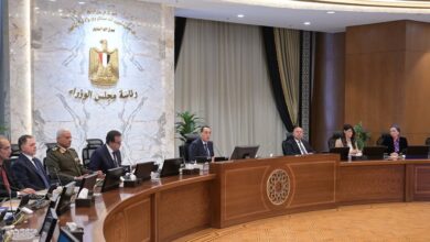 المشاط تستعرض ملامح خطة التنمية الاقتصادية والاجتماعية للعام المالي (2025/ 2026)