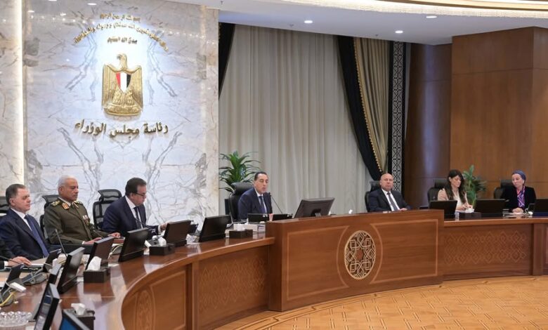 المشاط تستعرض ملامح خطة التنمية الاقتصادية والاجتماعية للعام المالي (2025/ 2026)