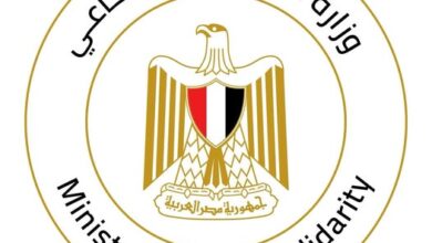 التضامن الاجتماعي: فريق التدخل السريع بالإسكندرية يجري عملية مسح ميداني في شوارع المحافظة