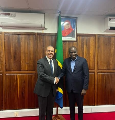 وزير الخارجية والهجرة يلتقى مع نائب رئيس الوزراء ووزير الطاقة التنزانى