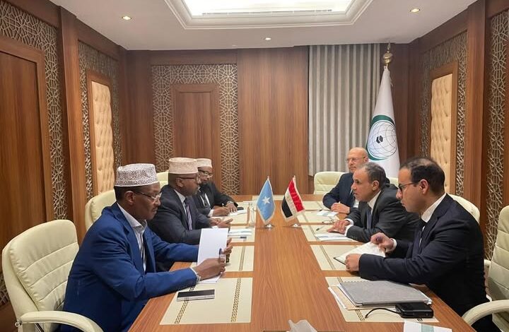 وزير الخارجية يعقد لقاءً مع نظيره الصومالي على هامش الاجتماع الاستثنائي لمنظمة التعاون الإسلامي