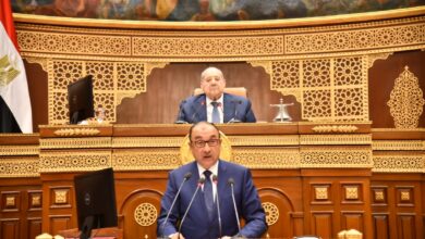 شيمي: ننفذ مشروعات عديدة لتوطين التكنولوجيا الصناعية بالشركات التابعة وتعزيز التحول الأخضر