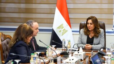 وزيرة التنمية المحلية تبحث مع صندوق الأمم المتحدة للسكان سبل تعزيز التعاون المشترك لتنفيذ الاستراتيجية الوطنية للسكان