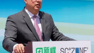 رئيس اقتصادية قناة السويس يشهد وضع حجر أساس مجمع شين فينج (Xin Feng) المتكامل للصناعات المعدنية بالسخنة