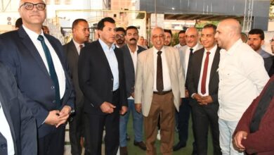 وزير الرياضة ومحافظ القليوبية يفتتحان عددًا من المشروعات الجديدة بمركز التنمية الشبابية والرياضية بشبرا الخيمة
