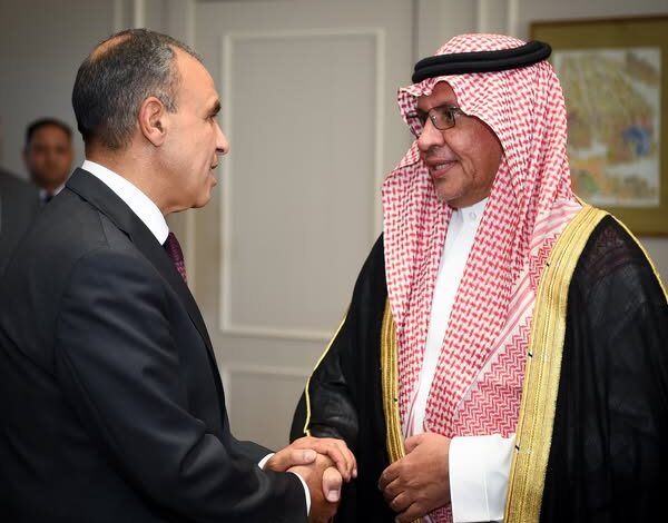عبد العاطي يستقبل أمين مجلس التنسيق الأعلى المصري السعودي
