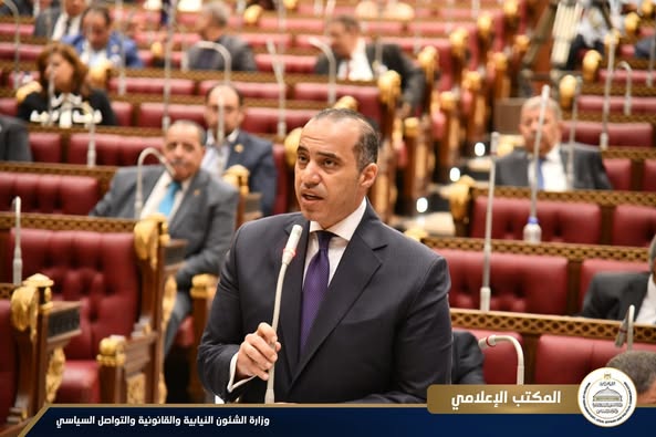 فوزي يحضر جلسة مجلس الشيوخ لمناقشة تعزيز دور النافذة الواحدة وتنظيم وتطوير الإفراج الجمركي