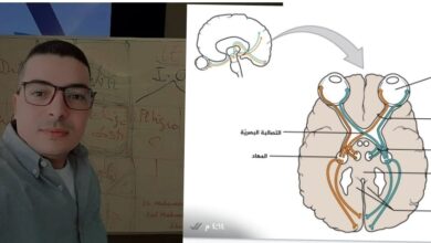 الصورة الأخيرة في عين الميت.. دراسة من منظور دكتور في القانون الجنائي