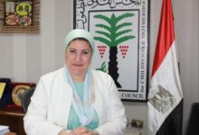 "الطفولة والأمومة" يتدخل لإنقاذ الطفلة المعتدى عليها في واقعة الفيديو المتداول بمنطقة المهندسين