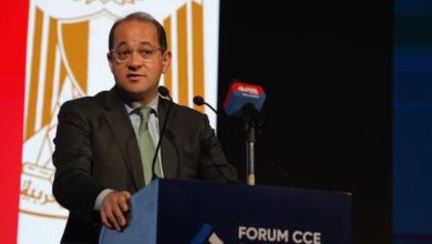 وزير المالية: الاقتصاد المصرى يتحرك بخطى جيدة.. ويوفر فرصًا استثمارية كبيرة