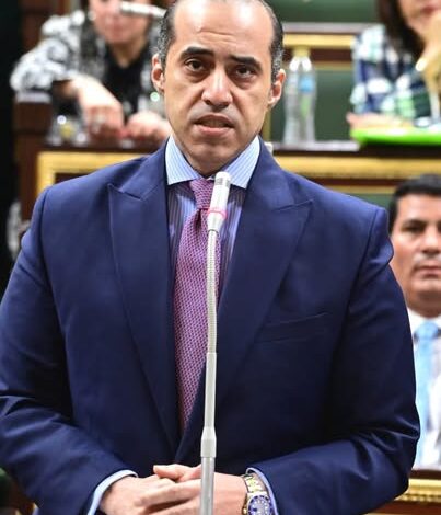 المستشار فوزي يحضر جلسة مجلس النواب بشأن مشروع قانون تحديد نسبة العلاوة الدورية للمخاطبين بقانون الخدمة المدنية